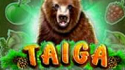 Taiga игровой автомат. 